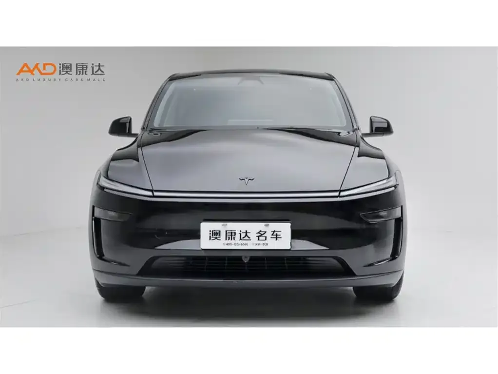 Tesla Model Y — фото 2