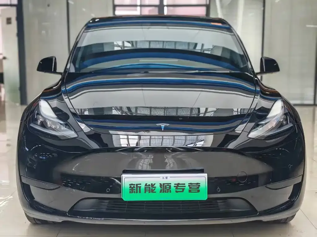 Tesla Model Y — фото 1