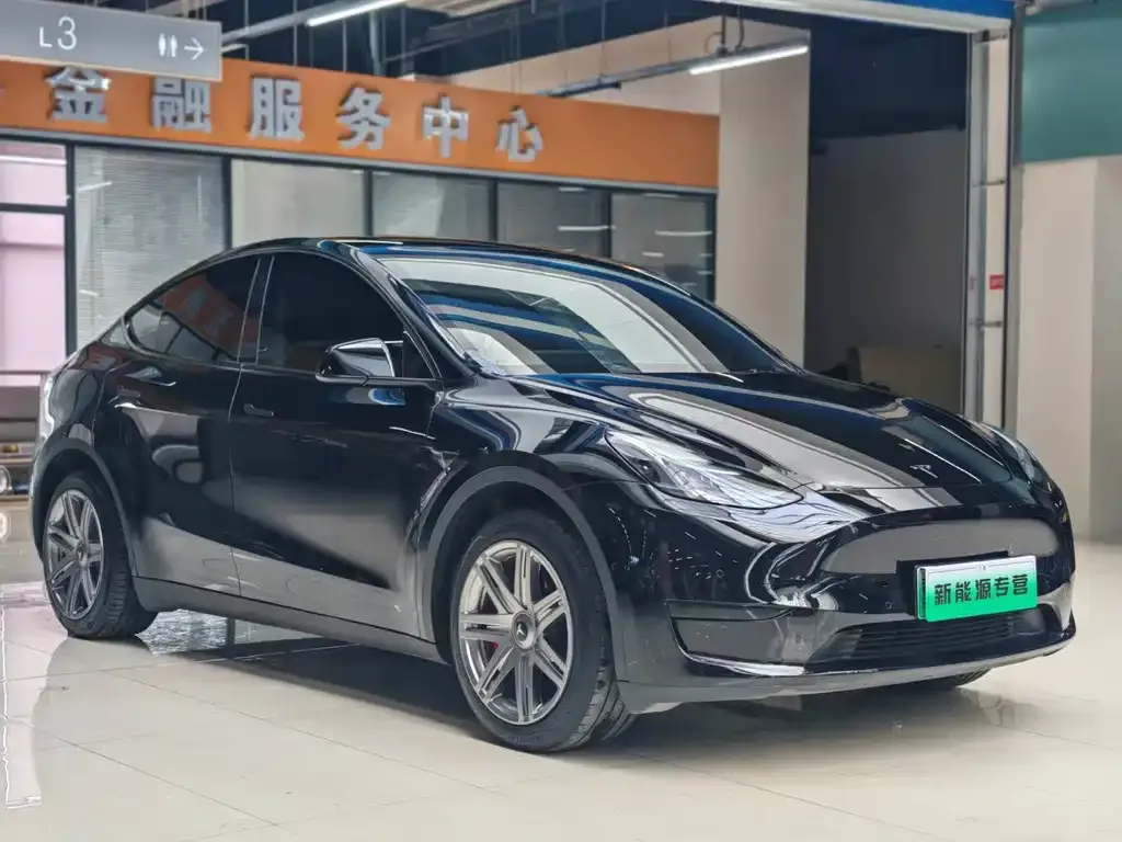 Tesla Model Y — фото 3