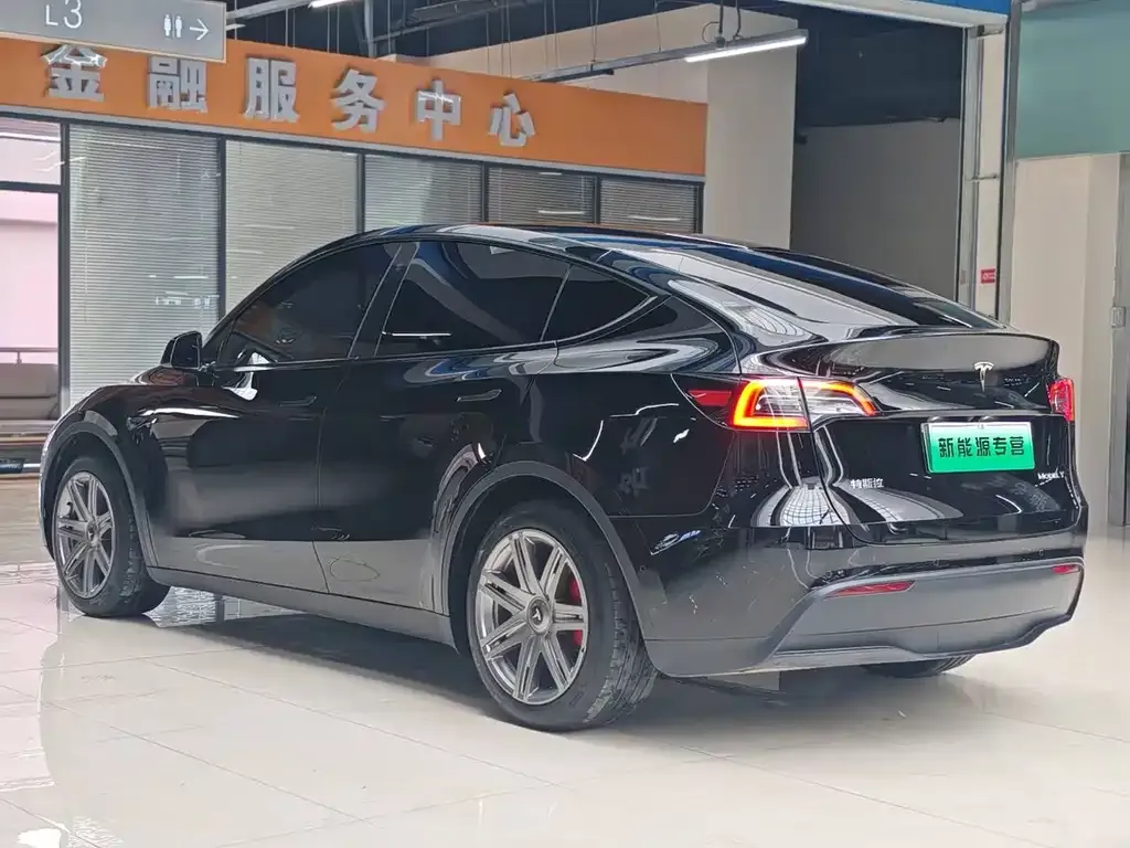 Tesla Model Y — фото 5