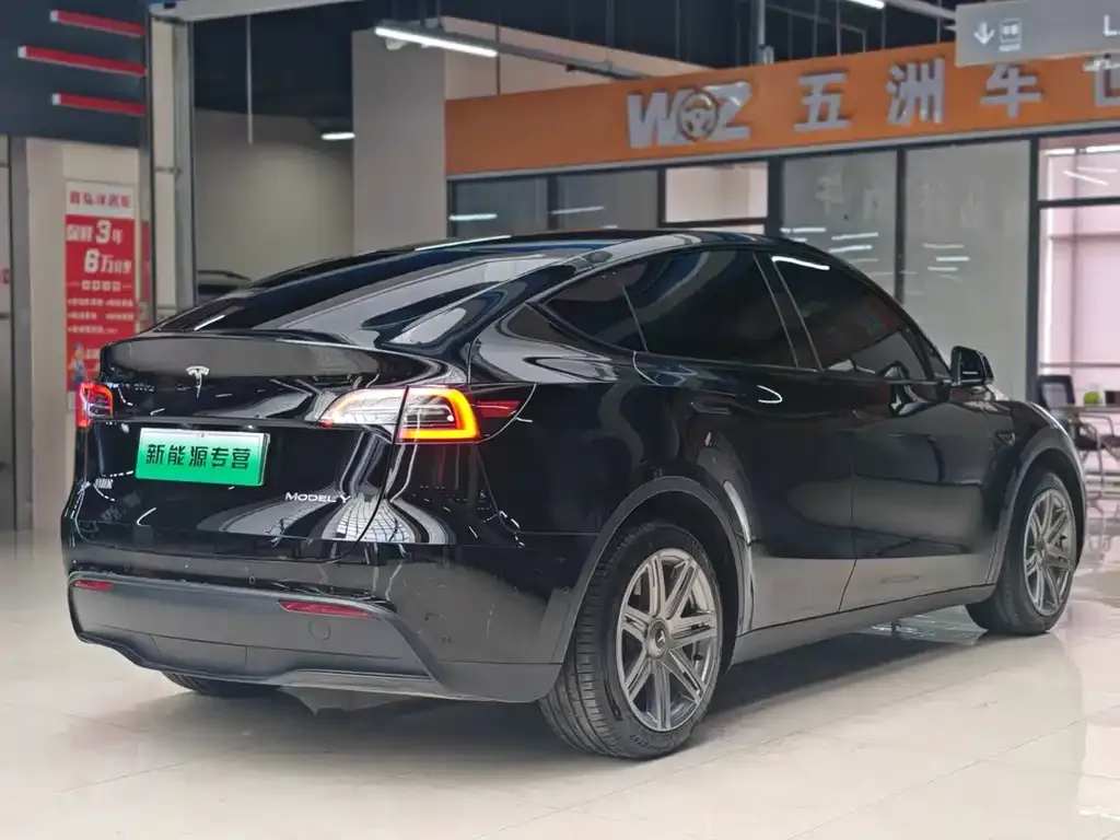 Tesla Model Y — фото 10