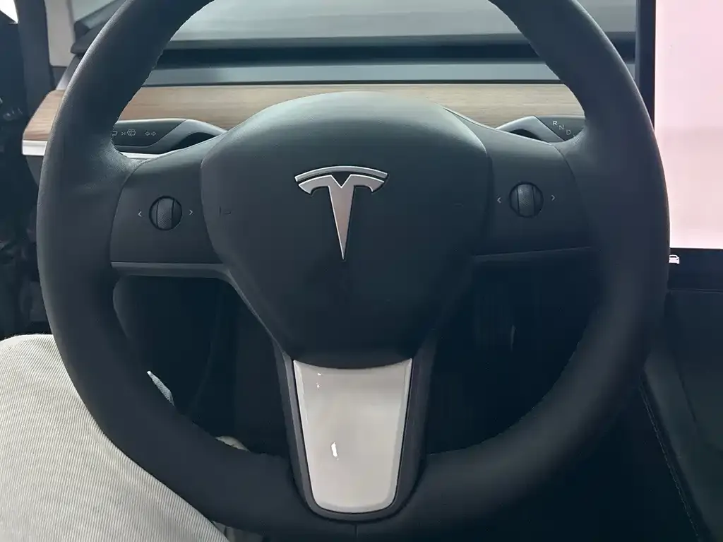 Tesla Model 3 — фото 2