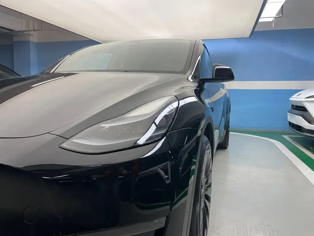 Tesla Model Y — фото 2