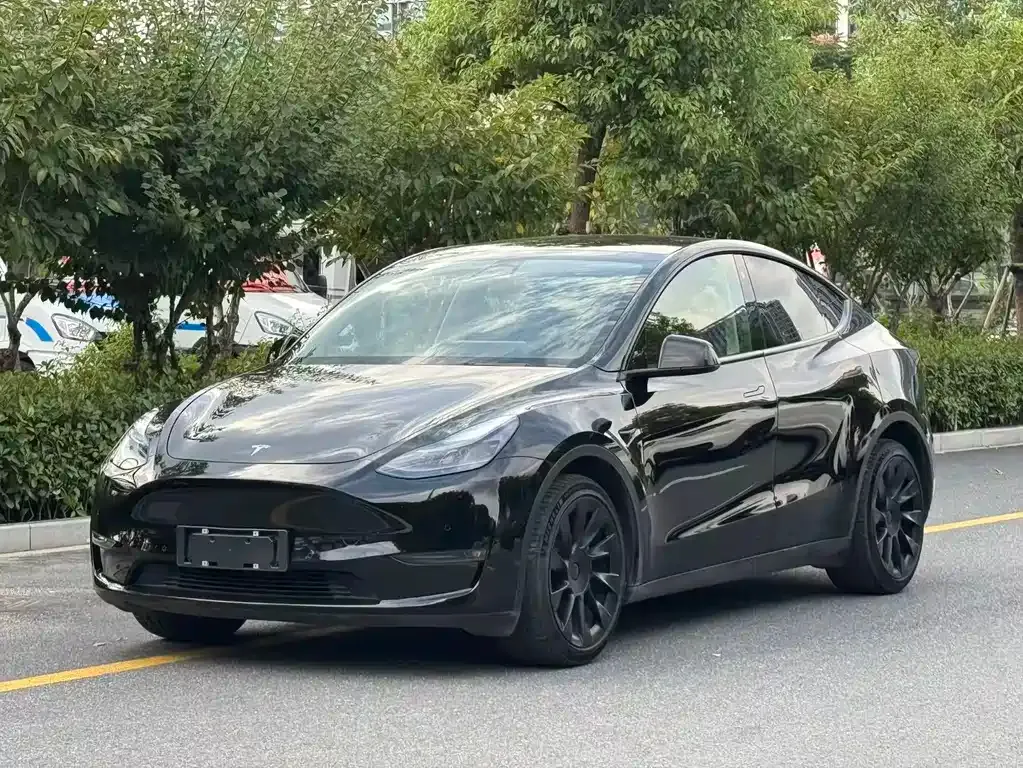 Tesla Model Y — фото 1