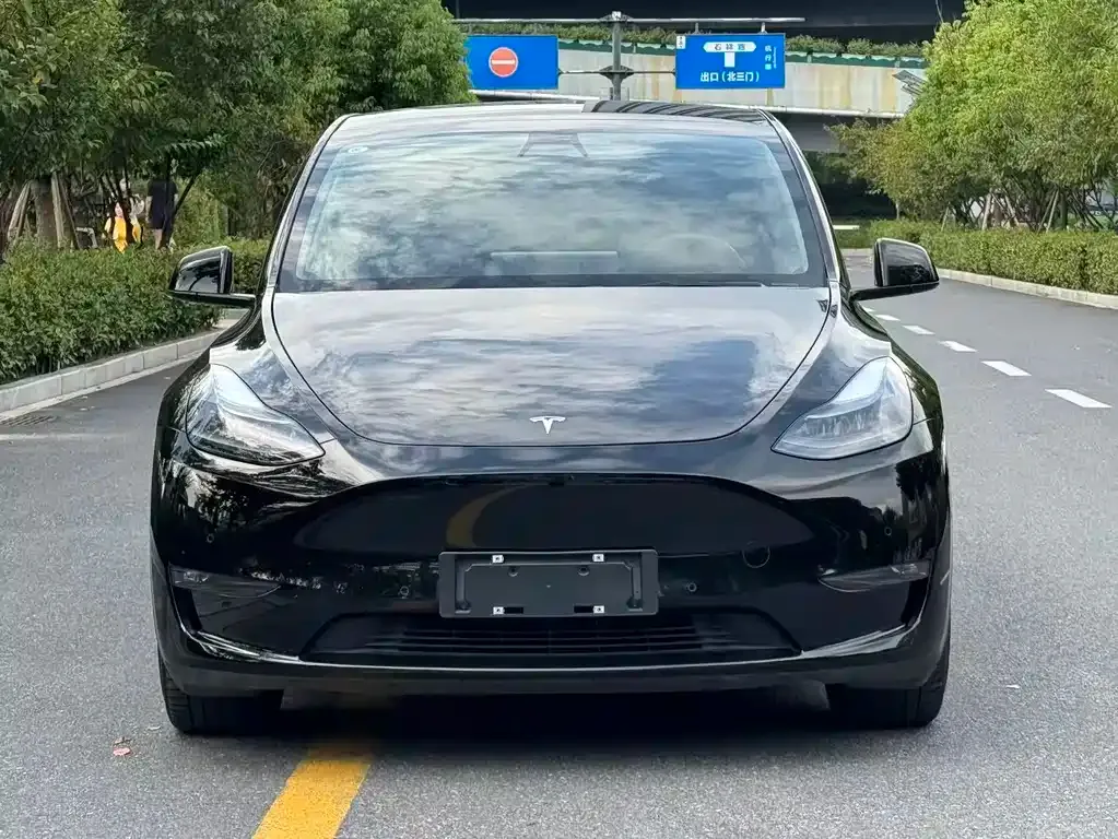 Tesla Model Y — фото 3