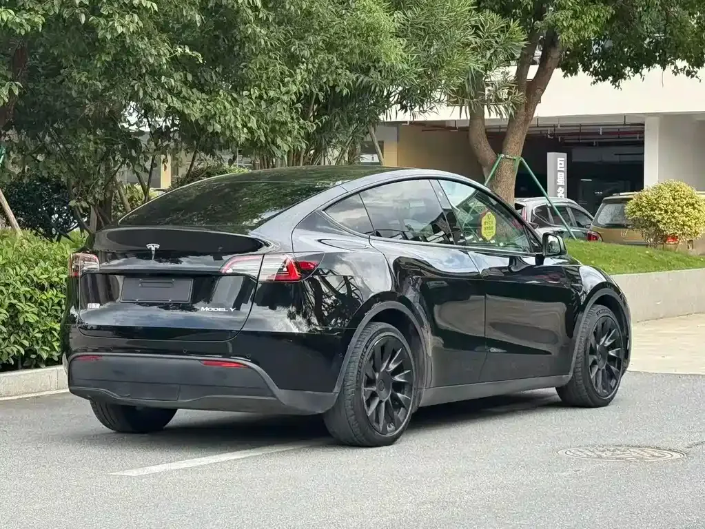 Tesla Model Y — фото 6