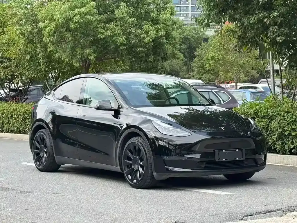 Tesla Model Y — фото 5