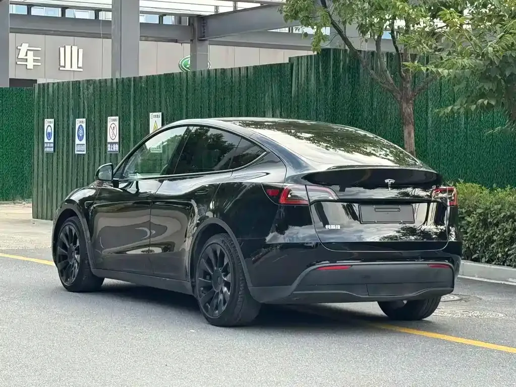 Tesla Model Y — фото 10