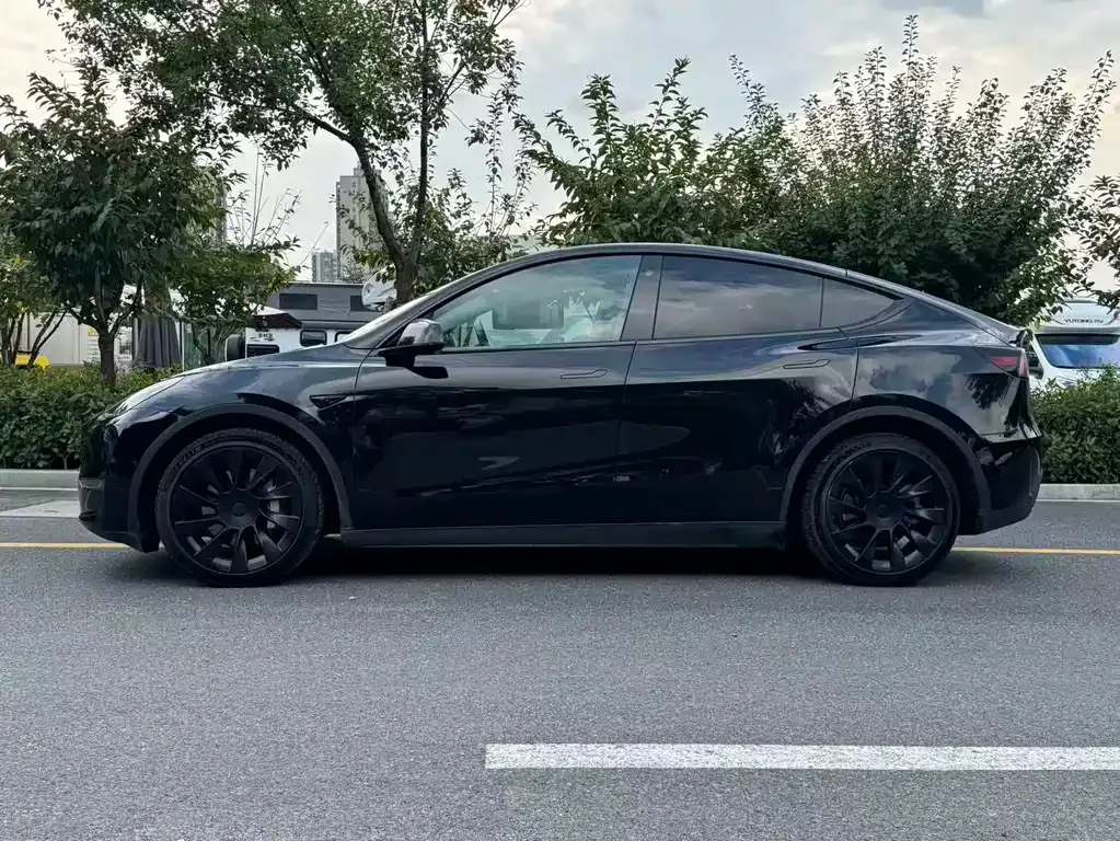 Tesla Model Y — фото 9