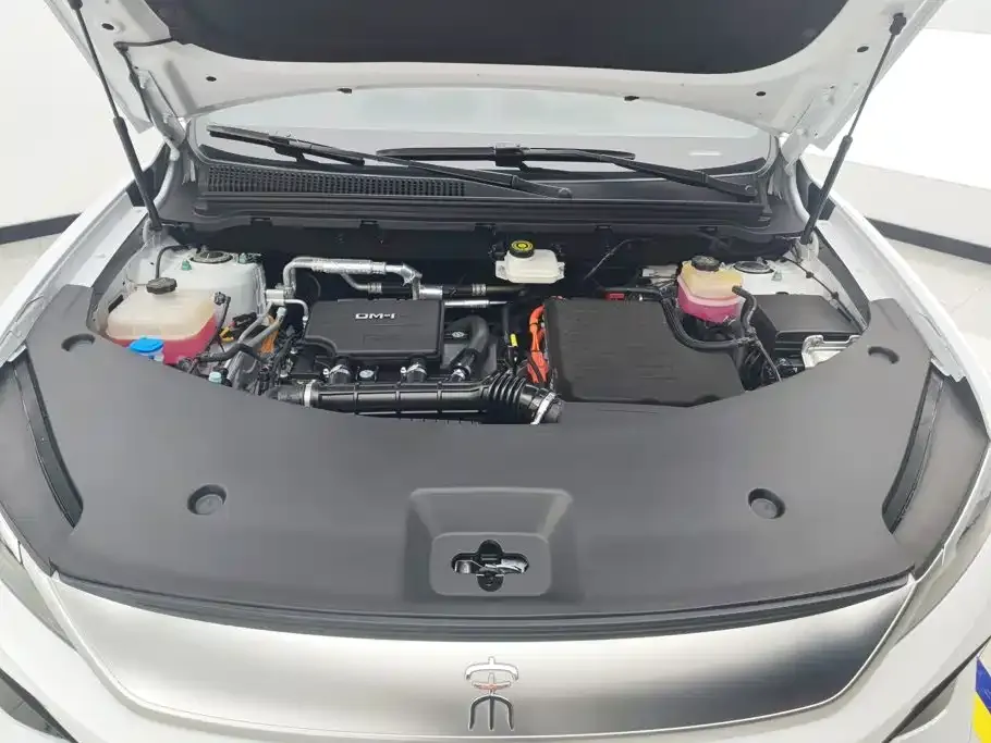 BYD Pro New Energy — фото 7