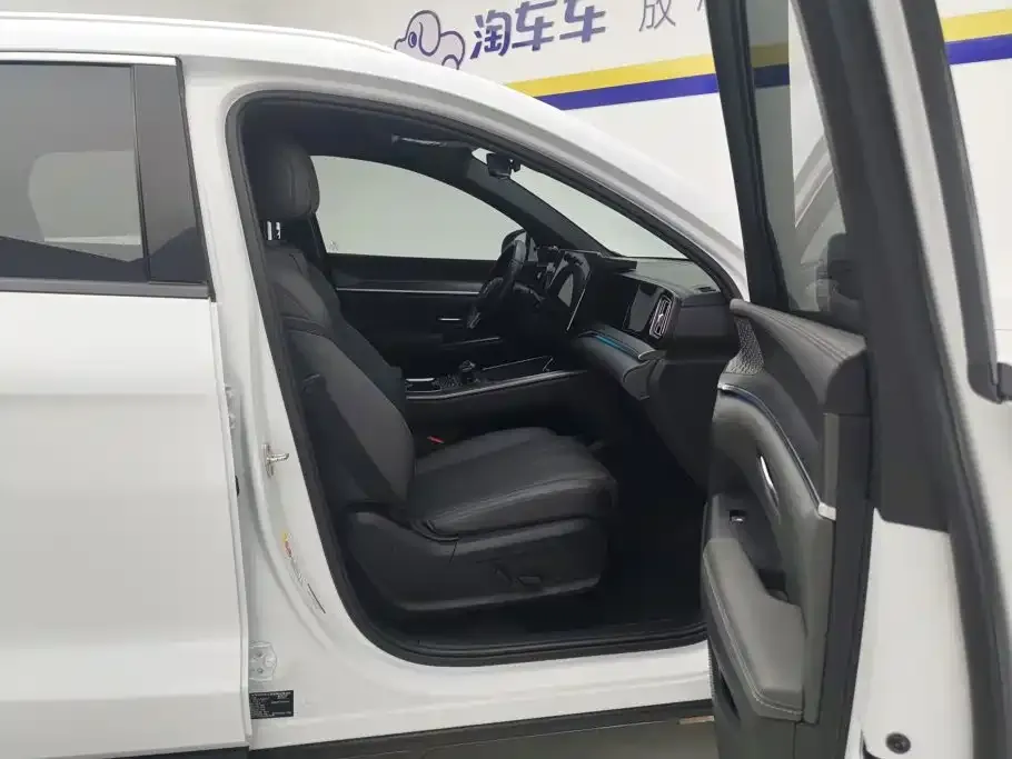 BYD Pro New Energy — фото 9