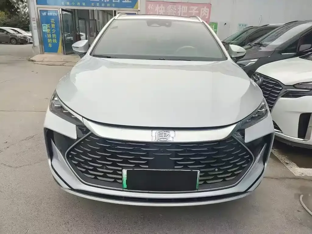 BYD Tang New Energy — фото 5