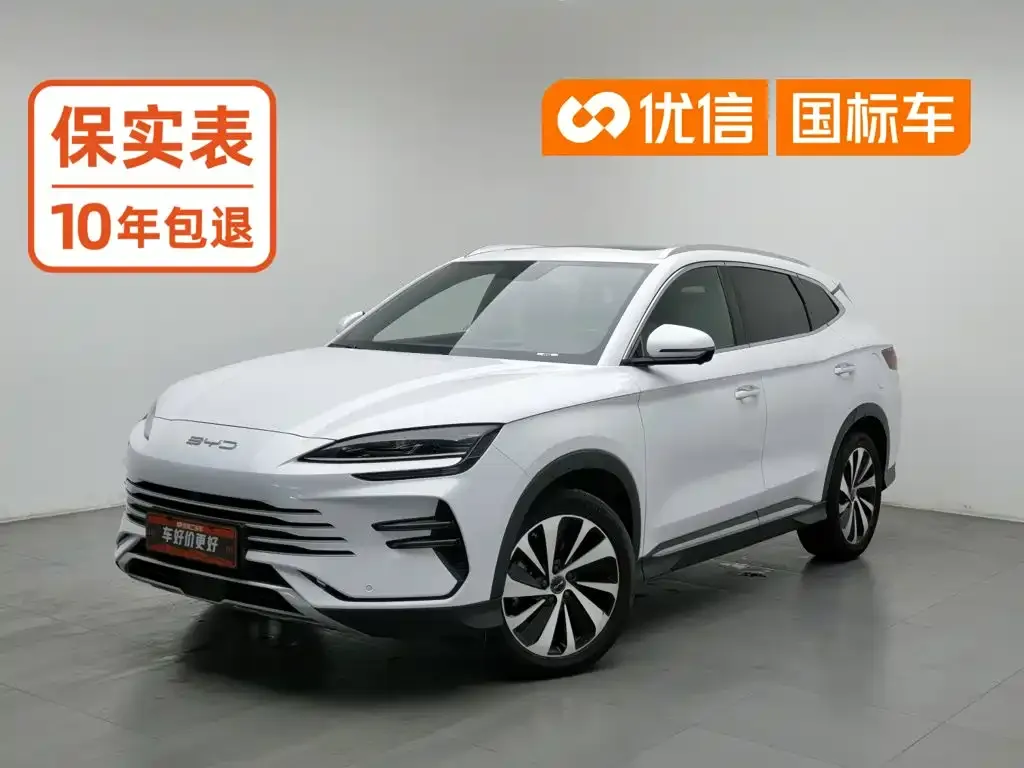 BYD PLUS New Energy — фото 1