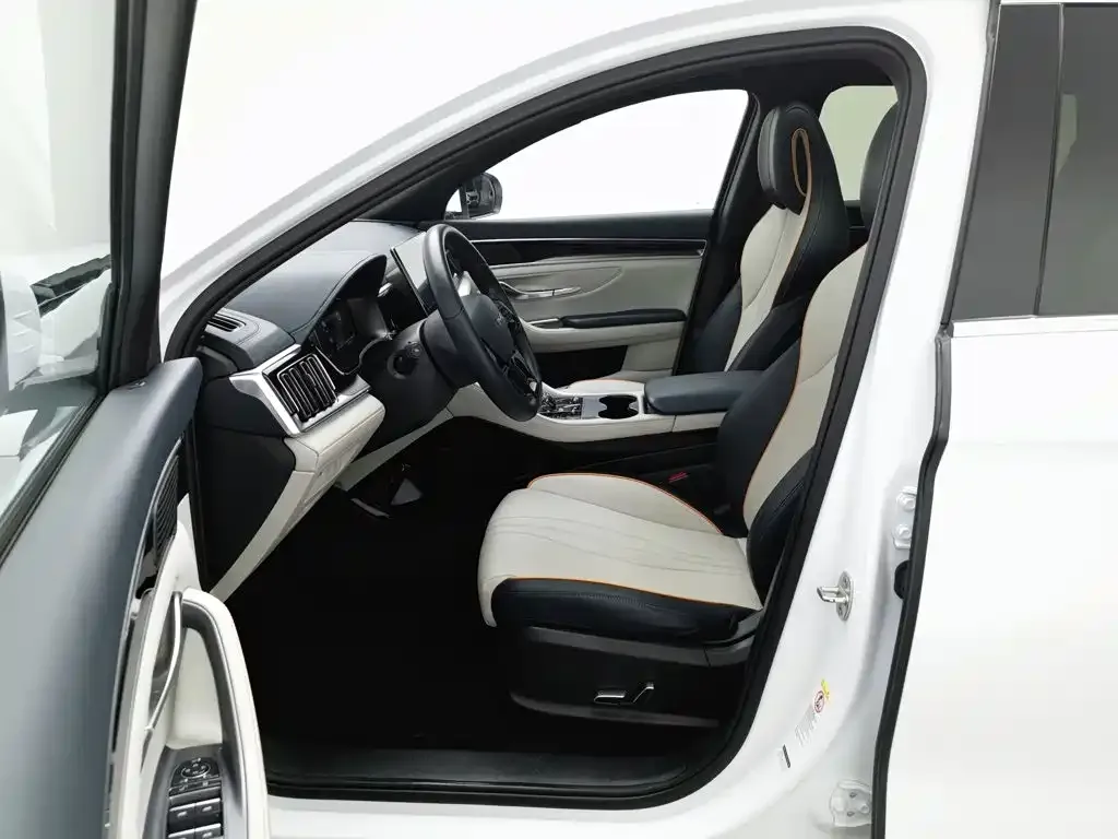 BYD PLUS New Energy — фото 8