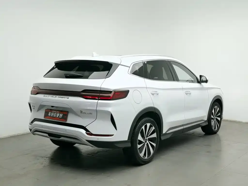 BYD PLUS New Energy — фото 4