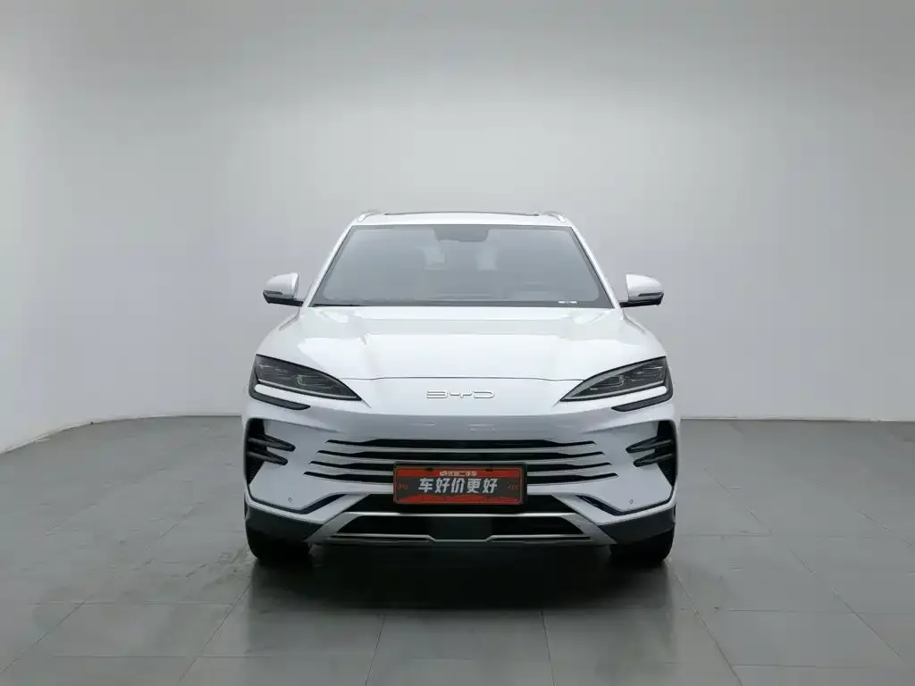 BYD PLUS New Energy — фото 2