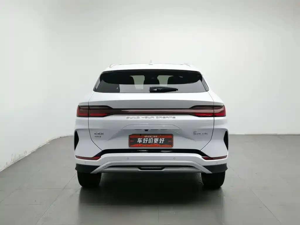 BYD PLUS New Energy — фото 10