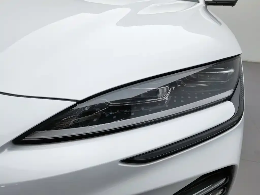 BYD PLUS New Energy — фото 7