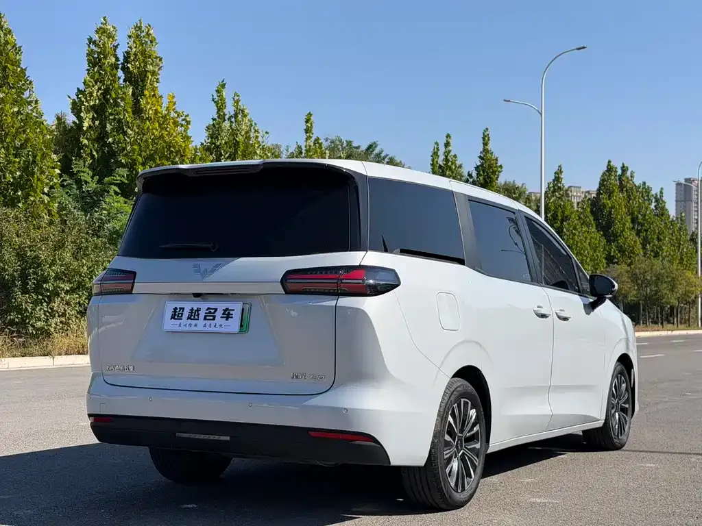 Wuling Xingguang 730 New Energy — фото 6
