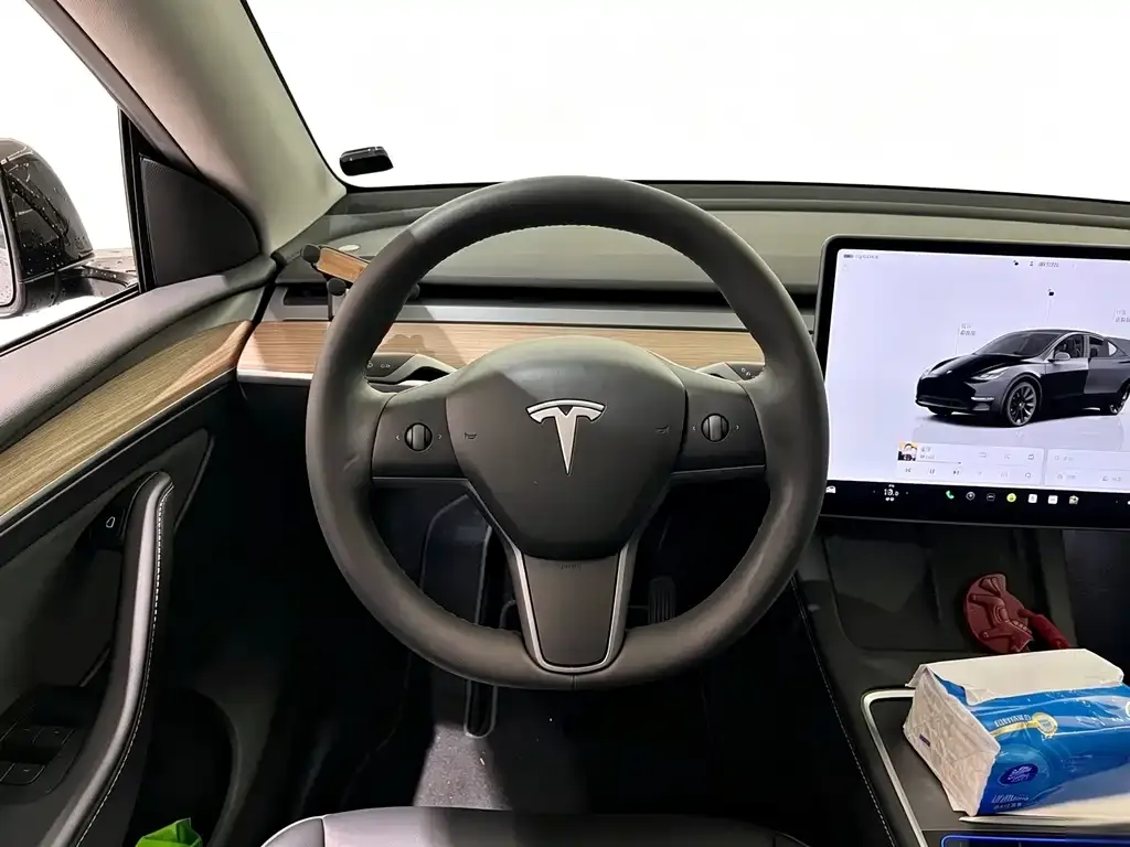 Tesla Model Y — фото 4