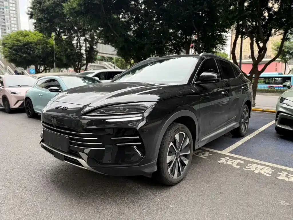 BYD PLUS New Energy — фото 1