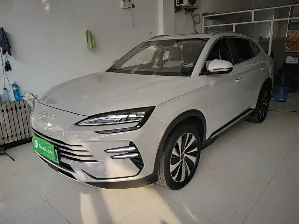 BYD PLUS New Energy — фото 1