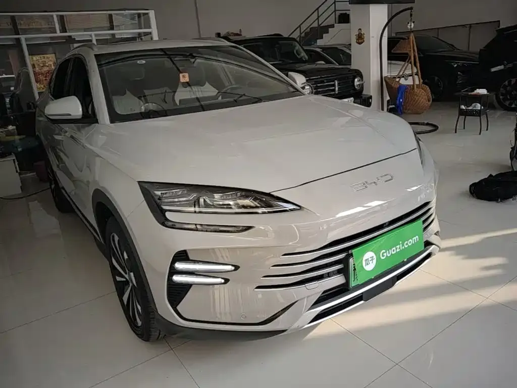 BYD PLUS New Energy — фото 9
