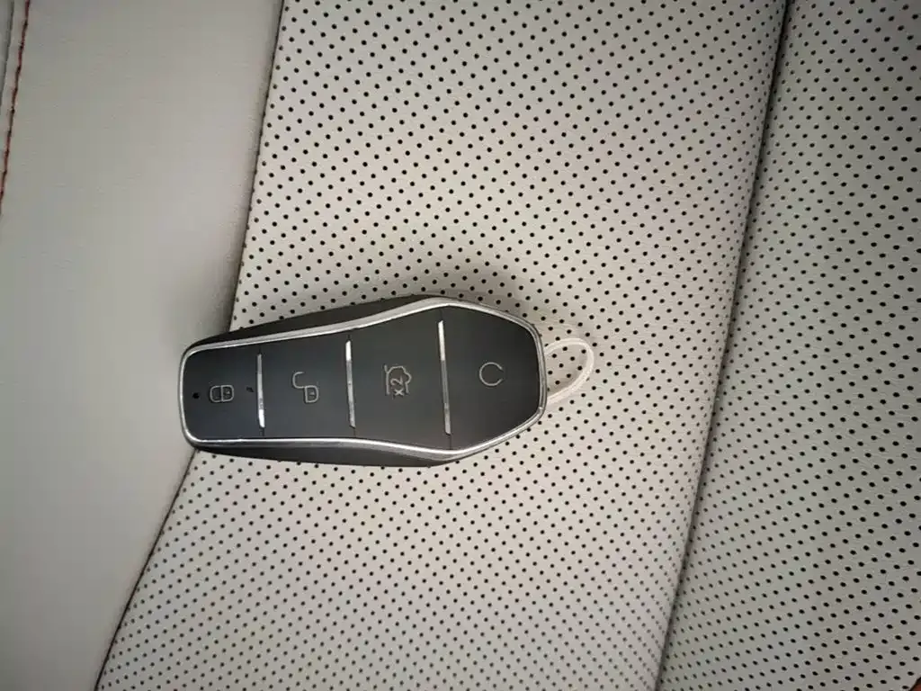 BYD PLUS New Energy — фото 10