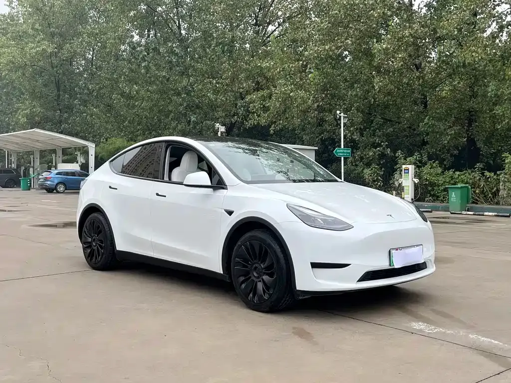 Tesla Model Y — фото 6