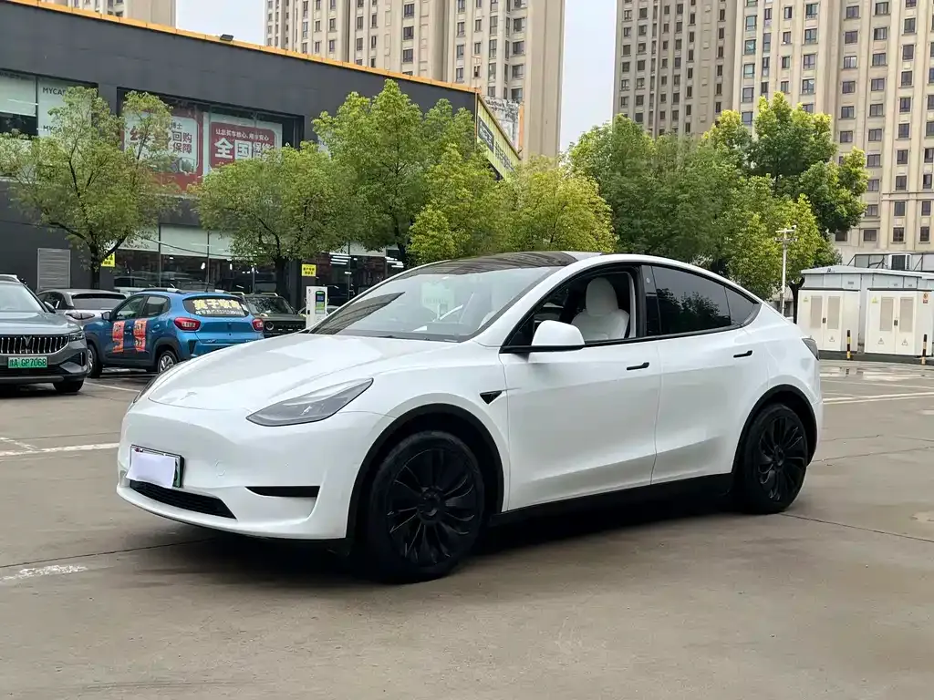 Tesla Model Y — фото 3