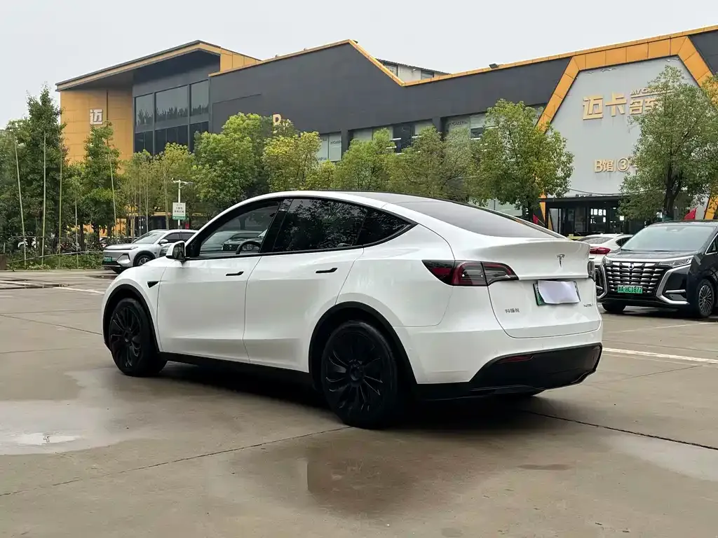 Tesla Model Y — фото 4