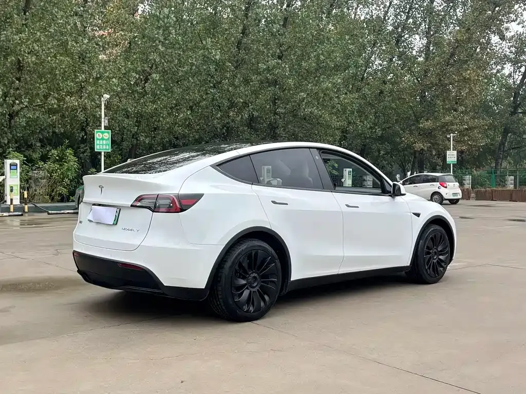 Tesla Model Y — фото 9