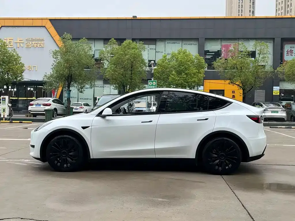 Tesla Model Y — фото 5
