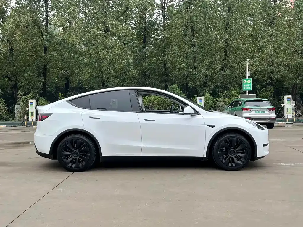Tesla Model Y — фото 10