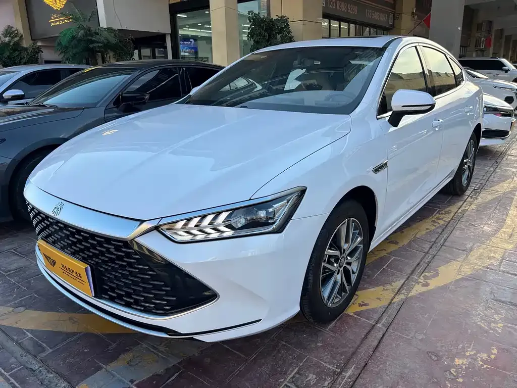 BYD Qin PLUS — фото 1