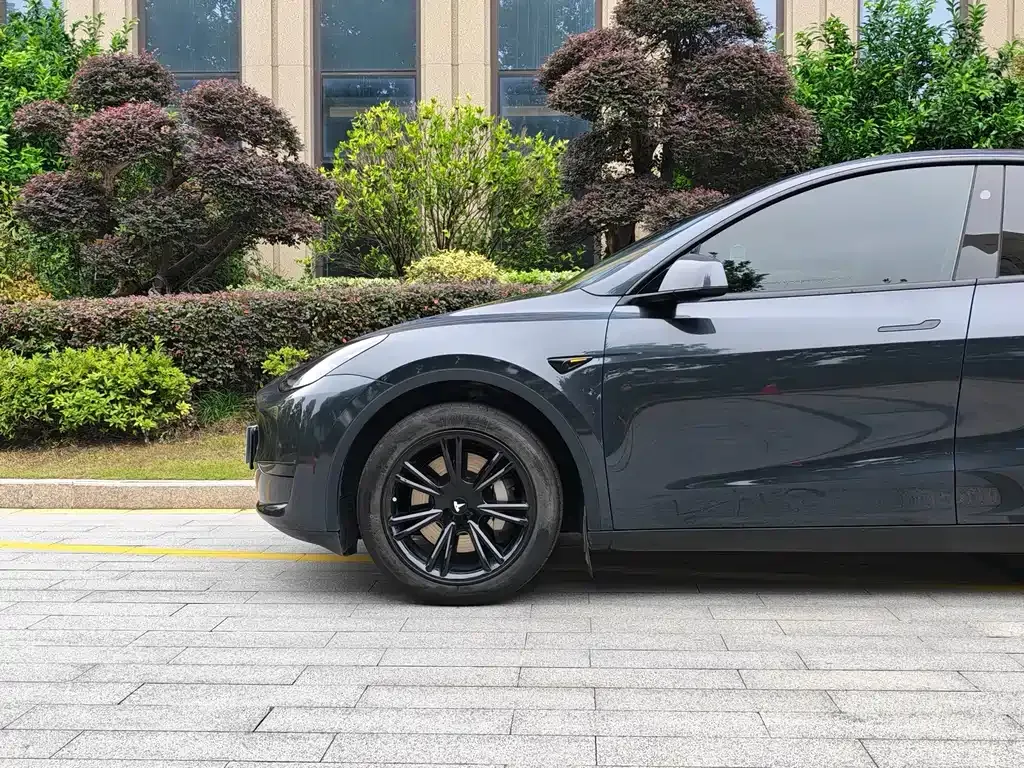 Tesla Model Y — фото 5