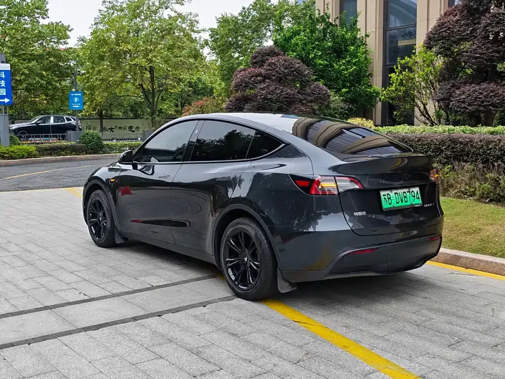 Tesla Model Y — фото 4