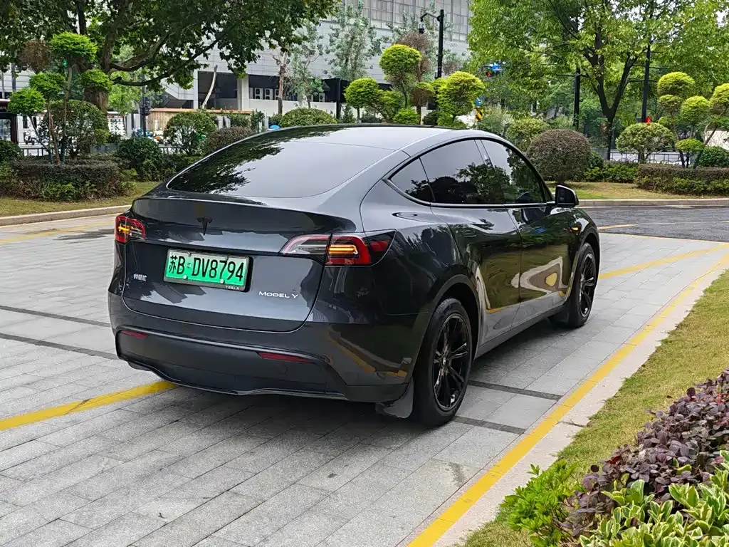 Tesla Model Y — фото 9