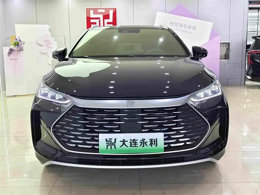BYD Tang New Energy — фото 5