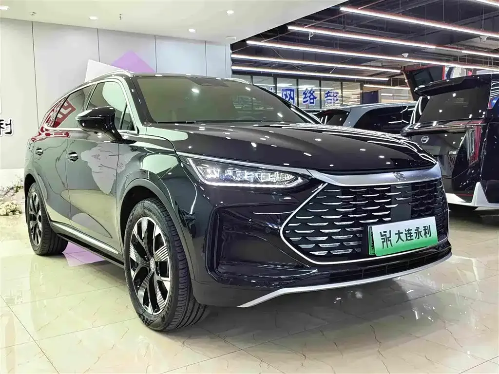 BYD Tang New Energy — фото 4