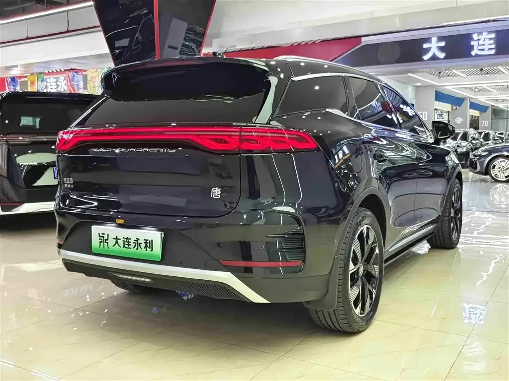 BYD Tang New Energy — фото 3