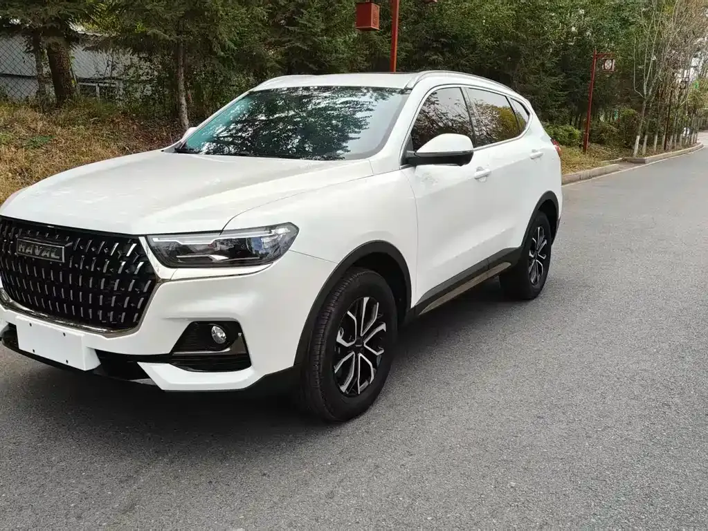 Haval H6 — фото 10