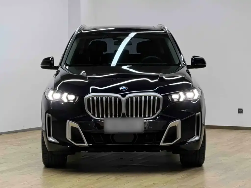 BMW X5 — фото 9