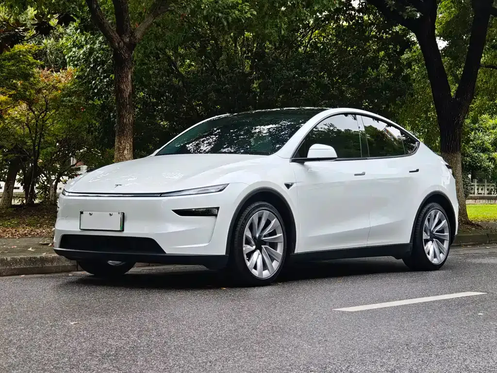 Tesla Model Y — фото 1