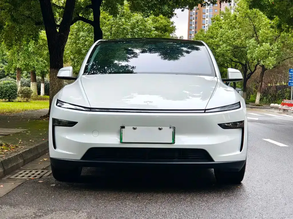 Tesla Model Y — фото 6