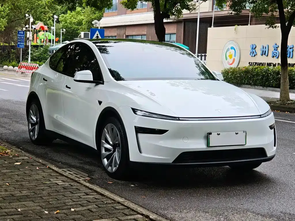 Tesla Model Y — фото 9