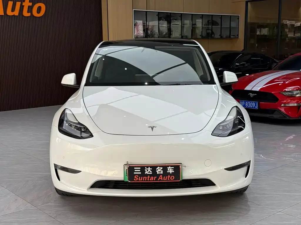 Tesla Model Y — фото 2