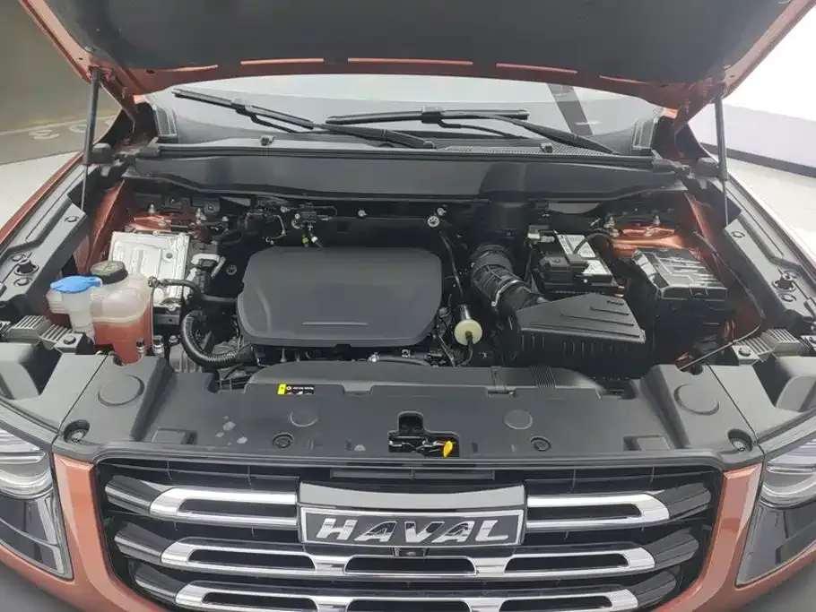 Haval Big Dog — фото 10