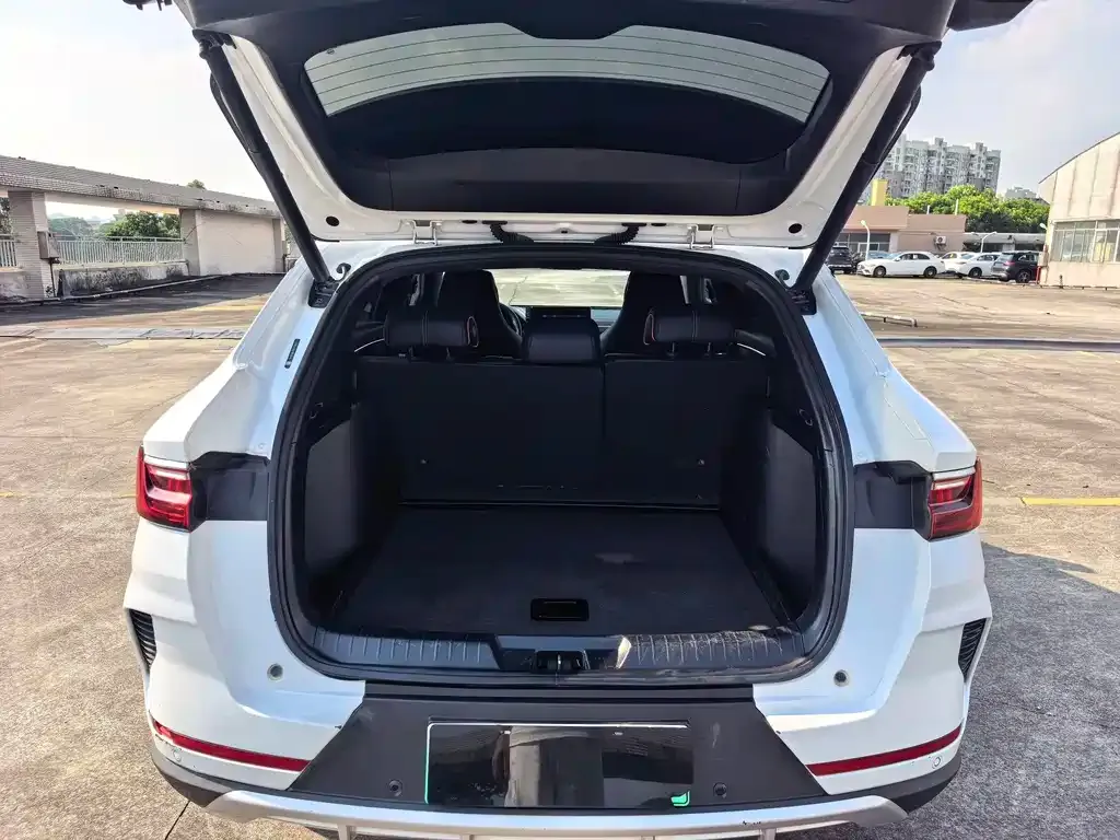 BYD PLUS New Energy — фото 10