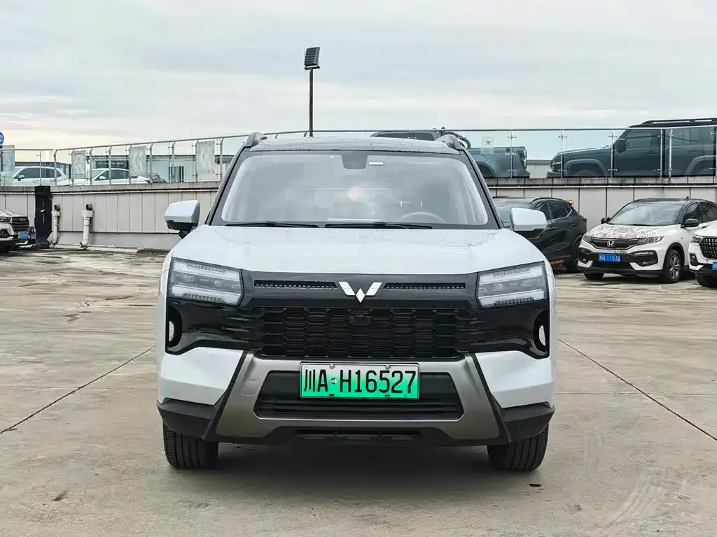 Wuling Xingguang 560 New Energy — фото 10